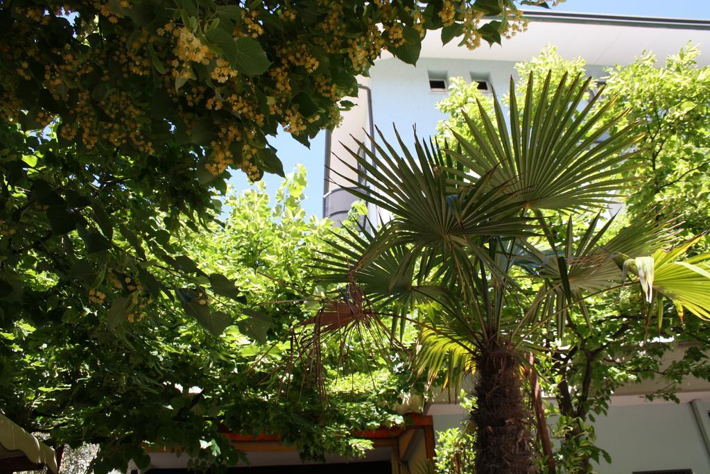 Hotel Villa Dei Gerani Rimini Zewnętrze zdjęcie